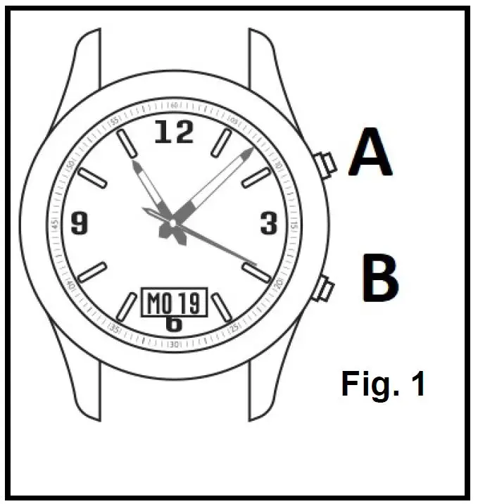RCC BK585 Men Mechanical Wristwatch Driver fig1