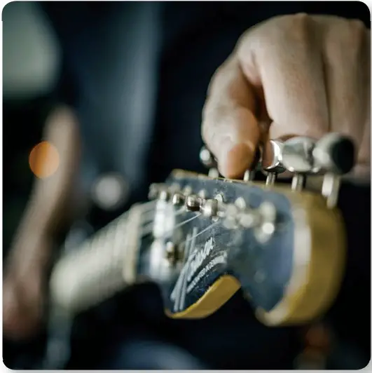 tc electronic Ultra-Attuned to Your Board