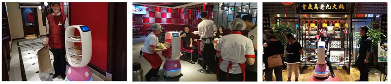 KEENON ROBOTICS PEANUT Commercial Delivery-Applications