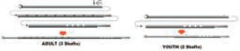 QUEST X10 Pro Metal Detector 22