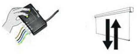 SCREENLINE BT800H Big Lodo Evolution - fig 25