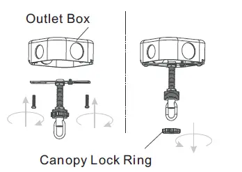 QUOIZEL-BGA5021BN-24-Inch-Brigitta-6-Light-Brushed-Nickel-Chandelier-Ceiling-Light-FIG-6