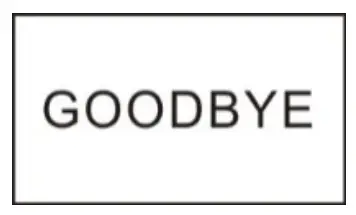 BRAUN Champion 360 Panoramic Camera fig 24