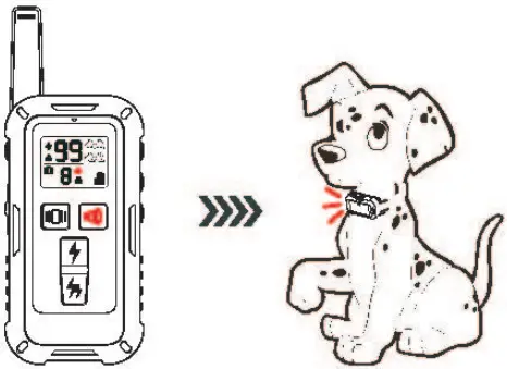 DeluPet DT-68 DOG Training Collar-FIG10