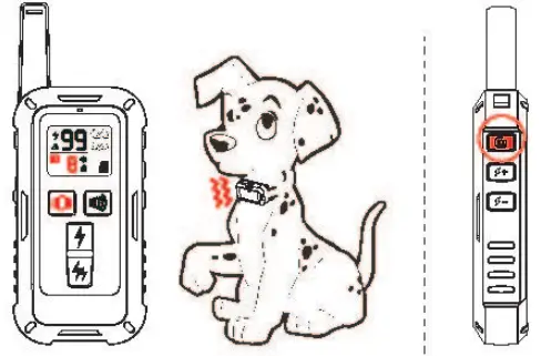 DeluPet DT-68 DOG Training Collar-FIG11