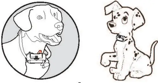 DeluPet DT-68 DOG Training Collar-FIG7