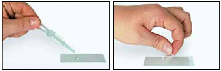 BRESSER 8855600 Junior Student Microscope - glass slide