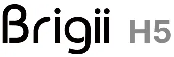 Brigii-H5-LOGO