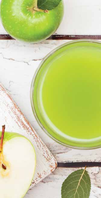 NINJA JC101 Cold Press Pro Compact Powerful Slow Juicer with Total Pulp Control - APPLE