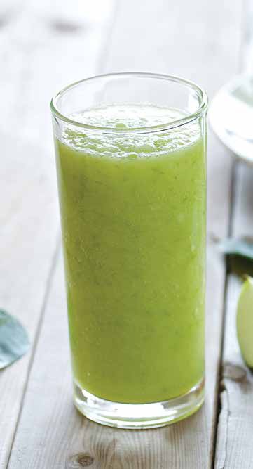 NINJA JC101 Cold Press Pro Compact Powerful Slow Juicer with Total Pulp Control - CITRUS MINT