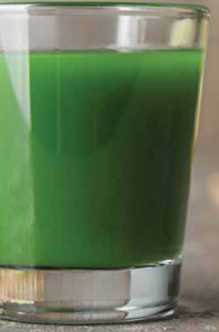 NINJA JC101 Cold Press Pro Compact Powerful Slow Juicer with Total Pulp Control - GREEN MACHINE