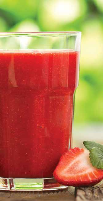 NINJA JC101 Cold Press Pro Compact Powerful Slow Juicer with Total Pulp Control - TART PEAR