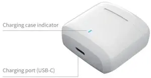 NEOQOQO-X5 True Wireless Stereo Earbuds - Charging case