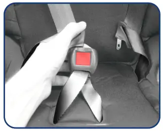 Fastening the Buckle Assembly - 1