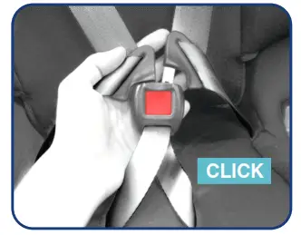 Fastening the Buckle Assembly - 2