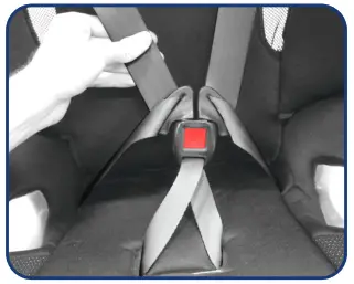 Fastening the Buckle Assembly - 3