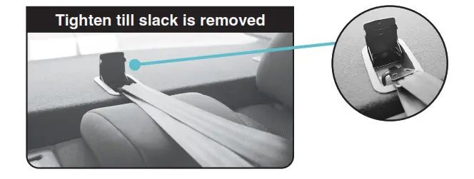 mother s Choice Harmony Convertible Car Seat - ATTACH