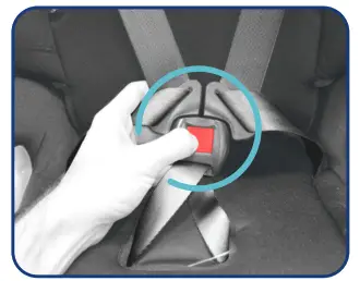 mother s Choice Harmony Convertible Car Seat