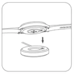 REDMAGIC SW2102 Smartwatch - Recharge