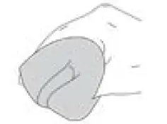 Westinghouse iGen4500DF Digital Inverter Generator-29