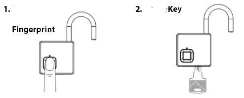 BURG WACHTER Y844732 Scan and Lock 610 Fingerprint fig 2