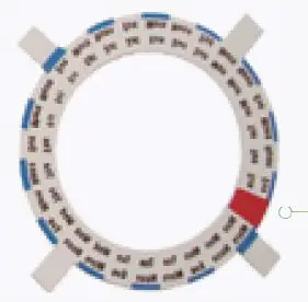 FIG 12 Loading Your Medication