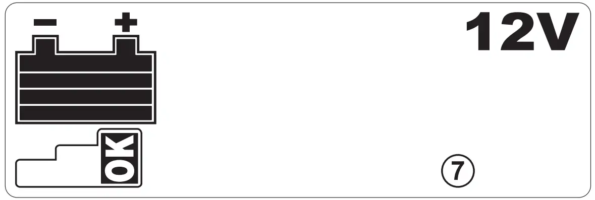 TELWIN 955064 Multifunction Battery Charger - fig 9