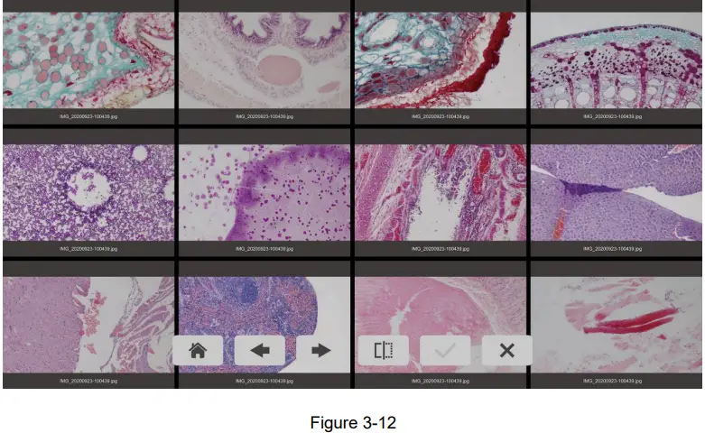 DeltaPix-HDMI4KDPXII-Stand-Alone-Mode-Digital-Microscope-Camera-FIG-21