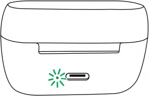 Jabra charging case A