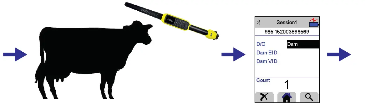 Tru-Test-XRS2-Stick-Reader-FIG 3