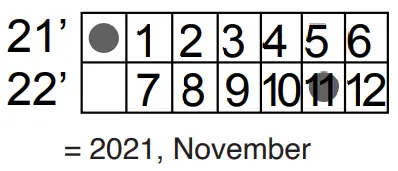 SKYTECH CON1001 1 Remote Control - fig6