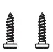 Mount Screws (2pcs)