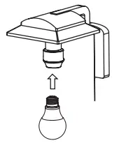 Thread in light bulb