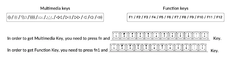 Multimedia Key and Function Key