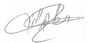 HILTI WFO 280 Orbital Sander - Singr