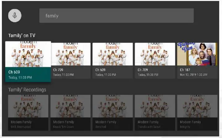 GARDEN VALLEY TECHNOLOGIES GVT Stream App to your Amazon Fire TV - Program Search Feature