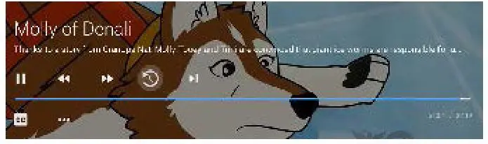 GARDEN VALLEY TECHNOLOGIES GVT Stream App to your Amazon Fire TV - Restart TV