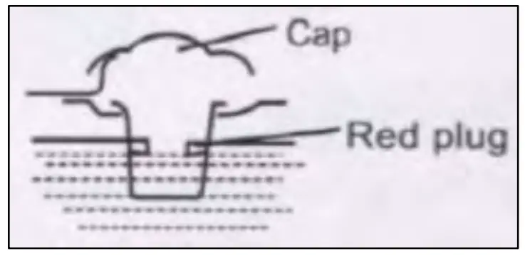 Promate 7000D Air-Cooled Diesel Generator - starting the engine