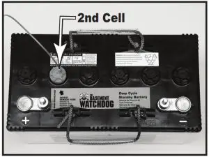 THE BASEMENT WATCHDOG Basement Watchdog- Clean the
