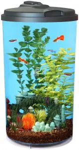 Koller AP360-6FFP Aquarium