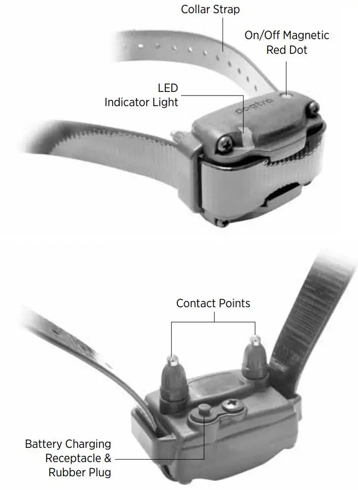 dogtra 2-DOG SYSTEM Owner’s Manual - 200C, 202C Receiver Overview