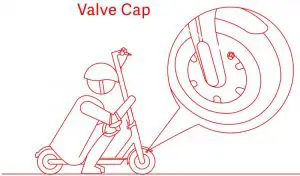 Tire Valve Stem Inductions
