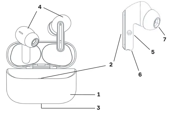 accesstyle Terra NC Earbuds Fig