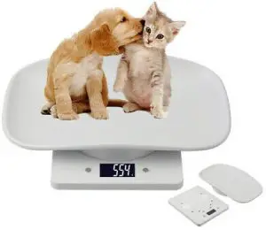 GIMA Bilancia Veterinaria Piccoli Animali Digital Small Pet Scale
