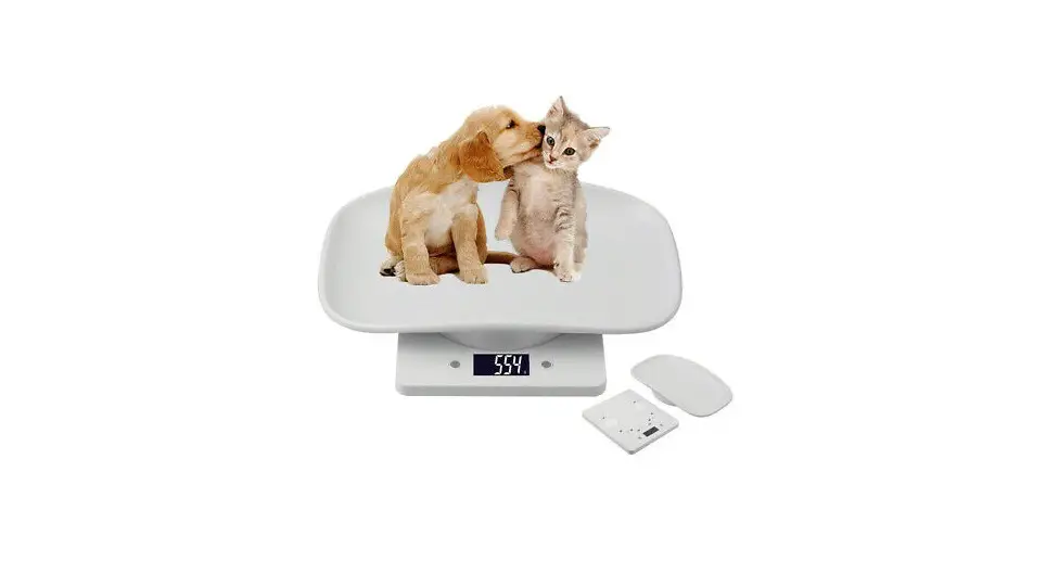 Gima Bilancia Veterinaria Piccoli Animali Digital Small Pet Scale User Manual