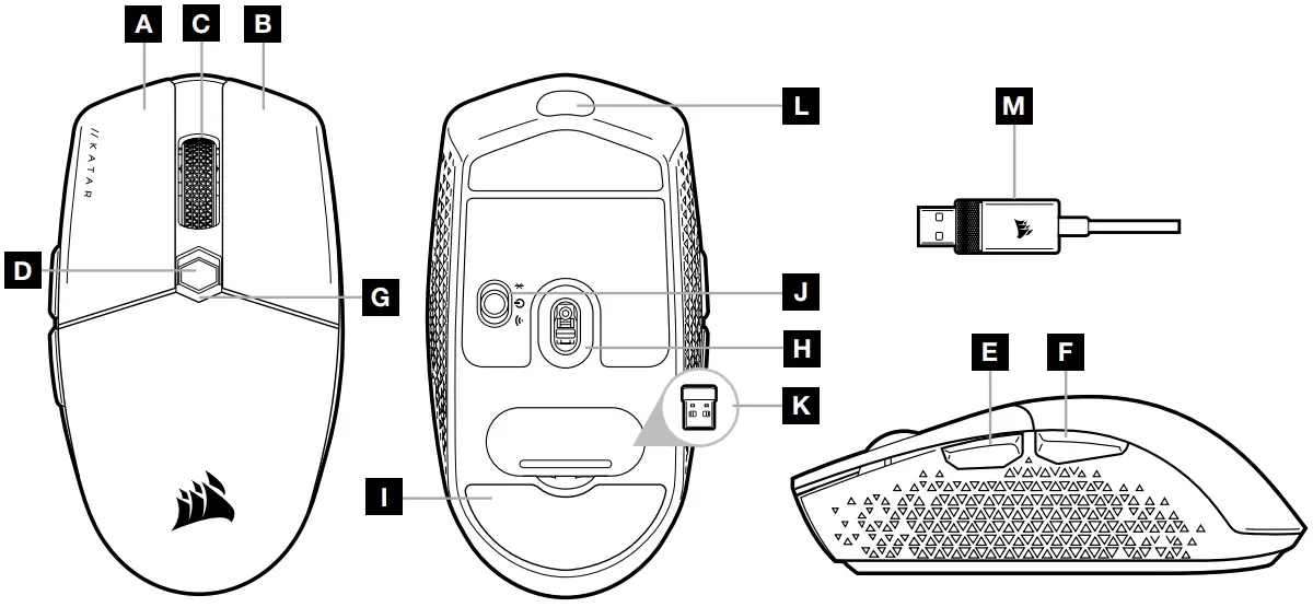 Getting To Know Your Mouse