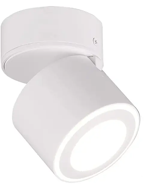 TRIO-652910131-TAURUS-Ceiling-Light-LED-Instruction-prodact-img
