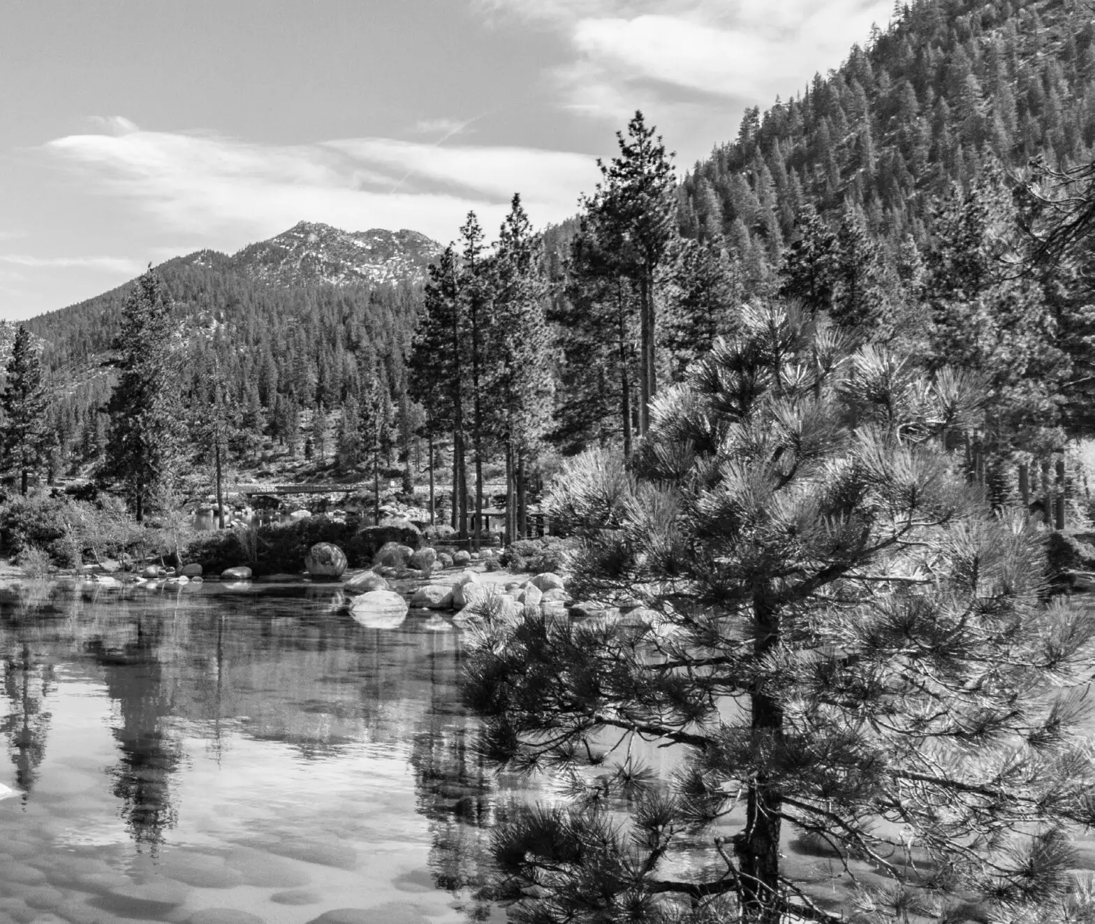 ZLINE Dual Built In Refrigerator - Cover