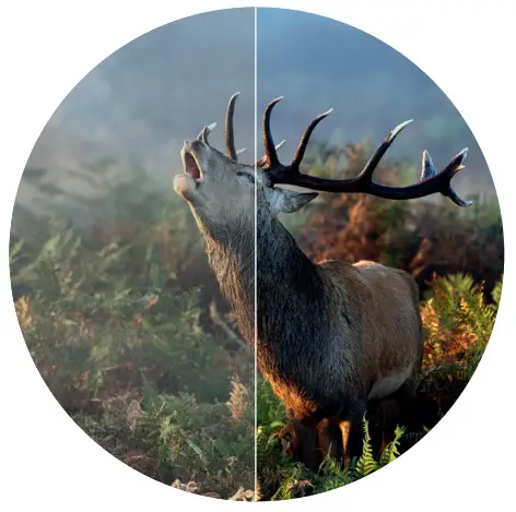 SWAROVSKI OPTIK 55-72010 EL - MAXIMUM