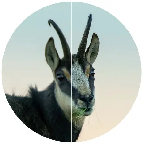 SWAROVSKI OPTIK 55-72010 EL -UNCOMPROMISING